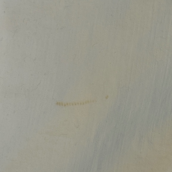 J. Crew Denim White Straight Leg Jeans - Picture 3 of 4